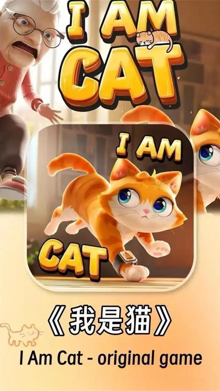 我是猫-拆家大师_1