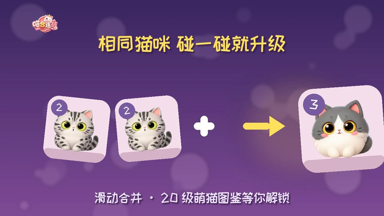 喵合连萌_4