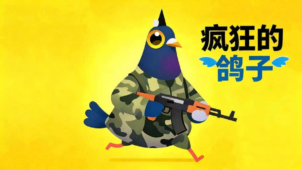 疯狂的小鸽子_5