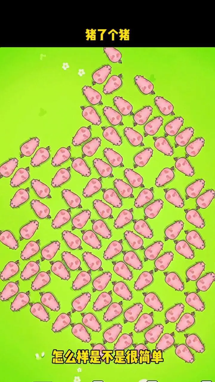小猪消除_2