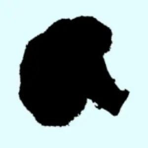 看影子猜蔬菜ICON