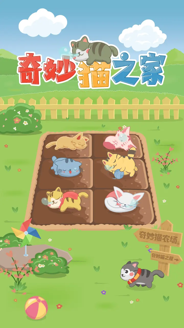 奇妙猫之家_2