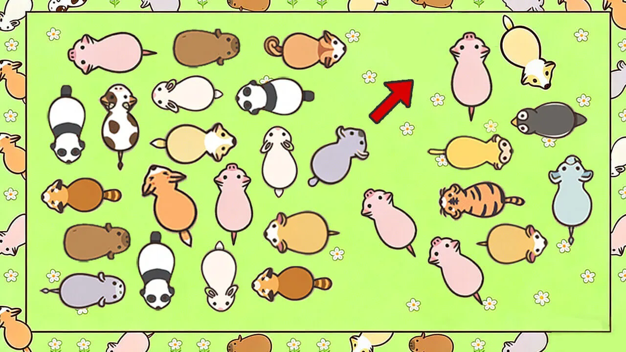 猪头挪一挪_4