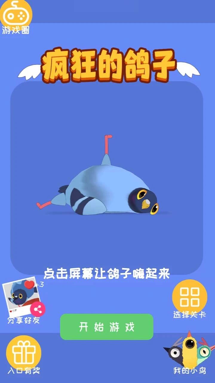 疯狂的鸽子表情_2