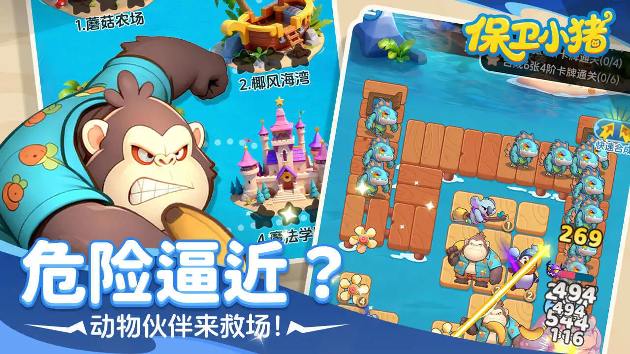 保卫小猪_6