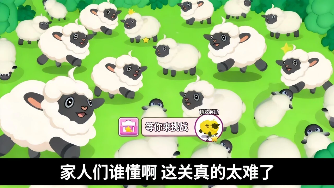 抓了只羊_4