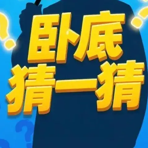 卧底猜一猜ICON