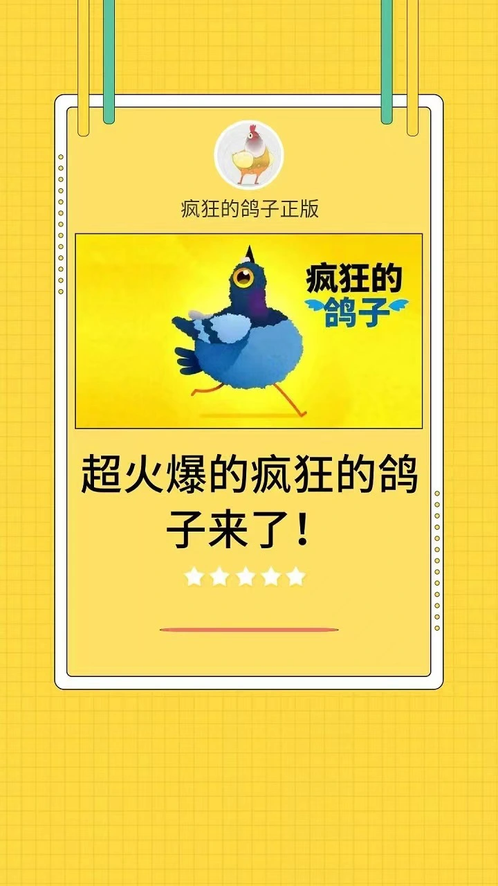 疯狂的小鸽子_2