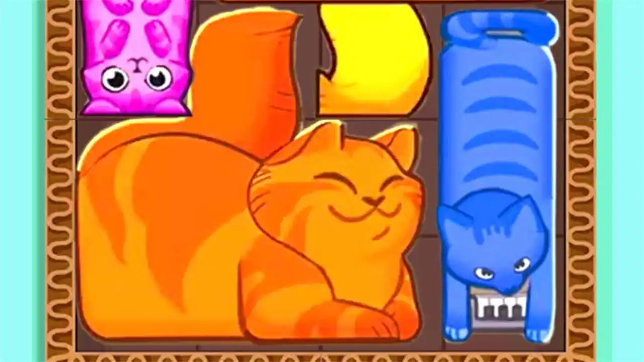猫猫挤一挤_5