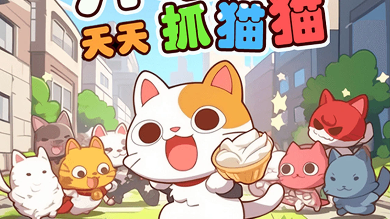 天天抓猫猫_4