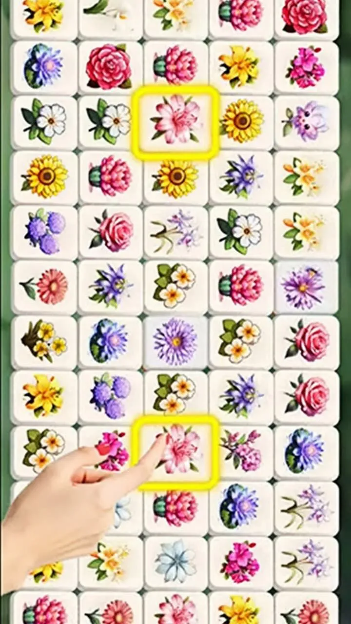 梦幻花三张_3