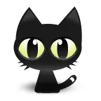 抓猫ICON