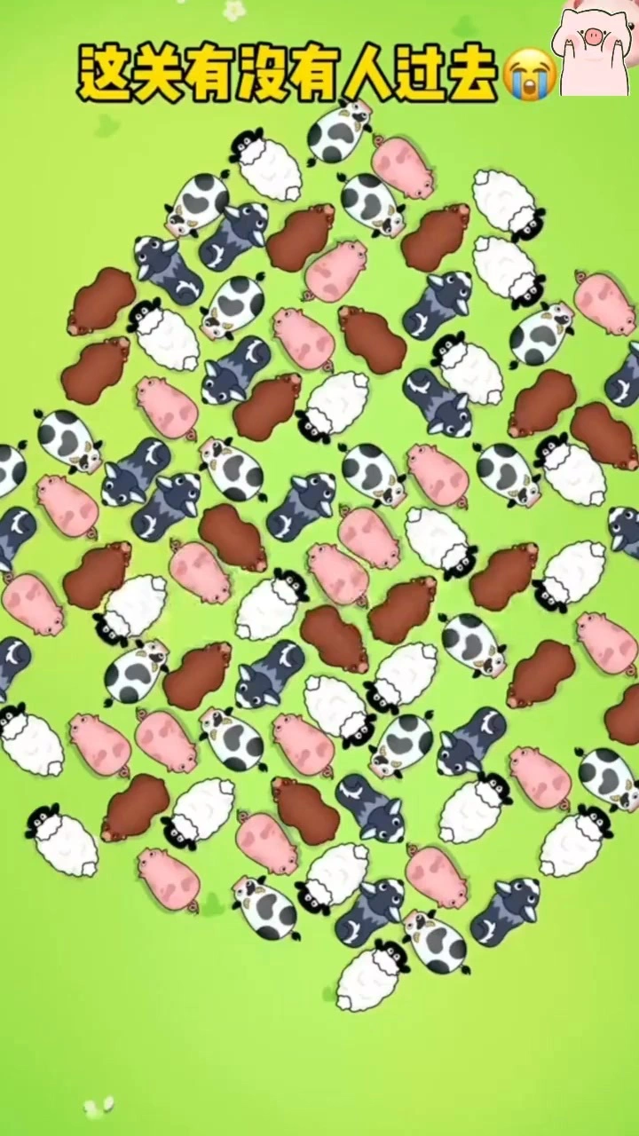 救救小猪猪消除_1