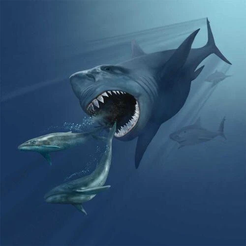 深海猎杀生存ICON