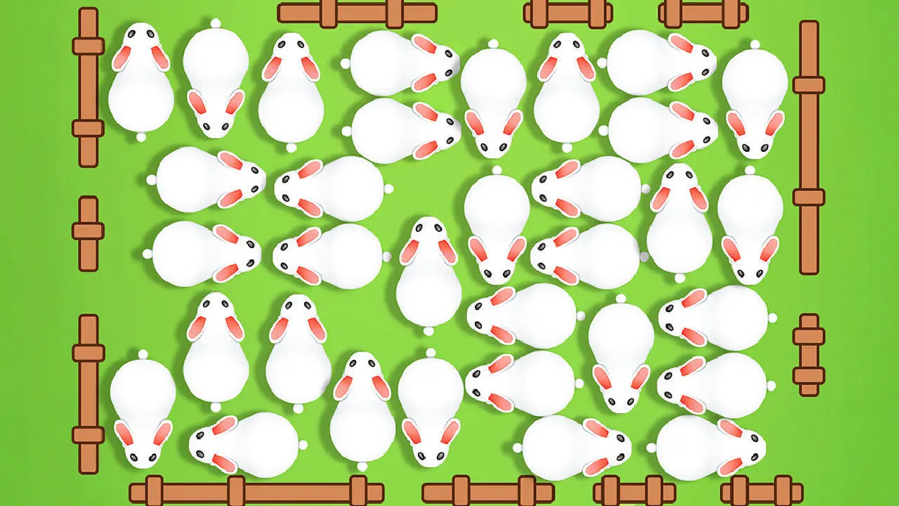 挪兔兔_6