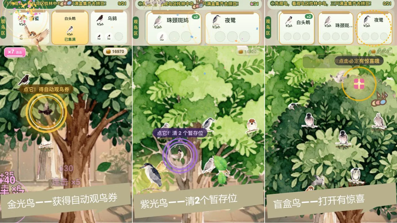 观鸟-拼豆_5
