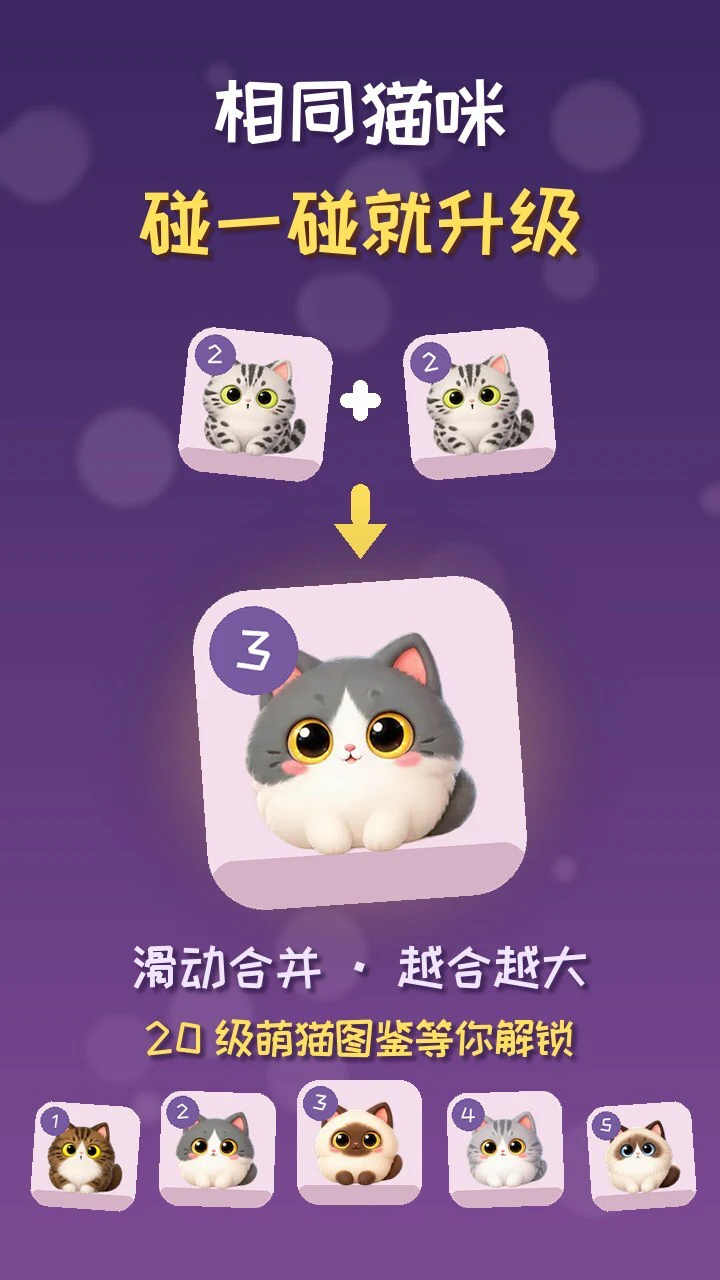 喵合连萌_1