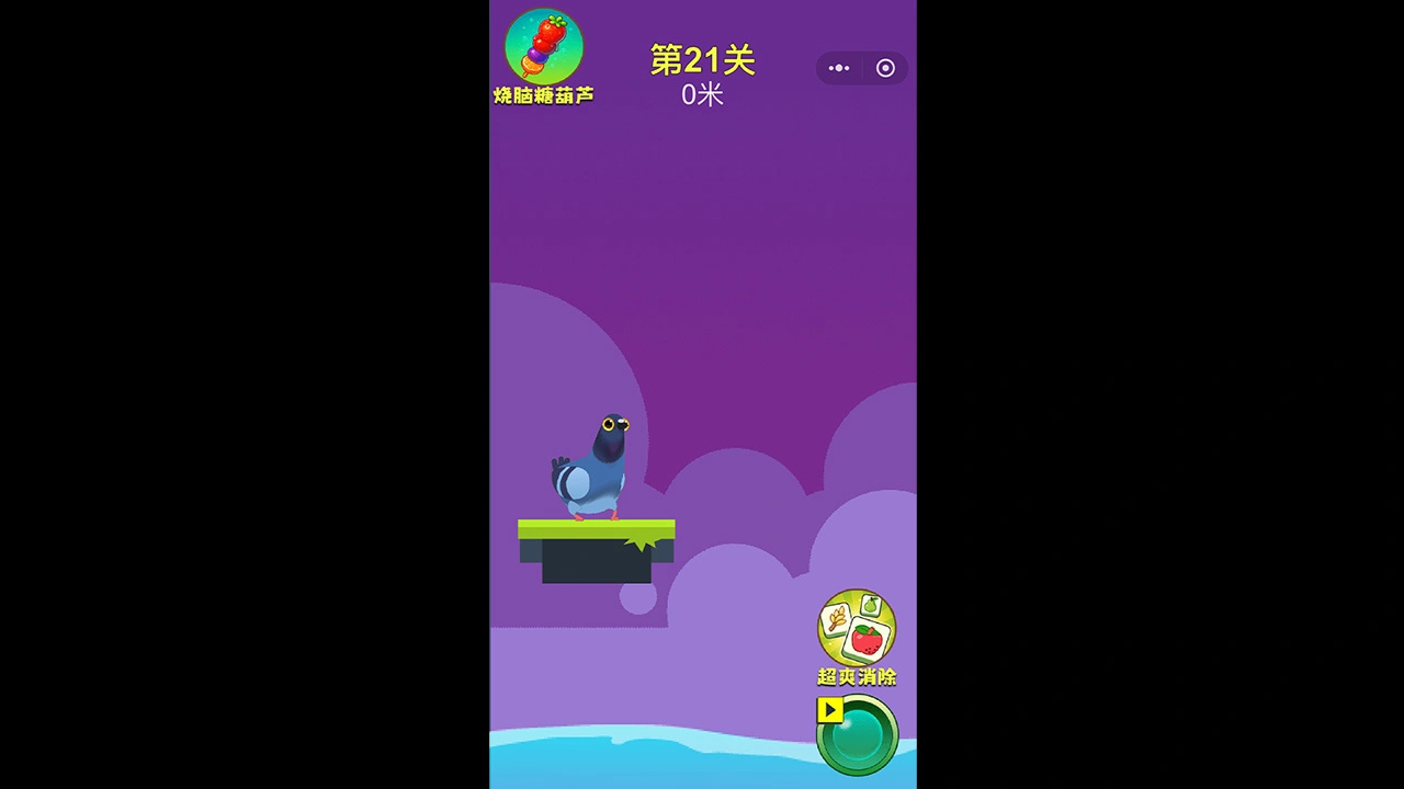 疯狂的鸽子闯关_5