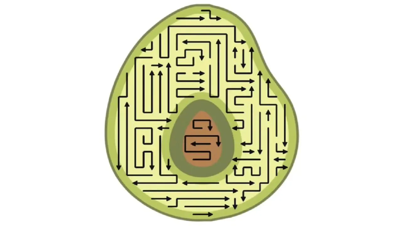 箭了再箭_6