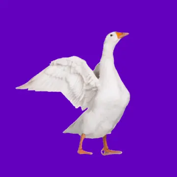 消除大鹅ICON
