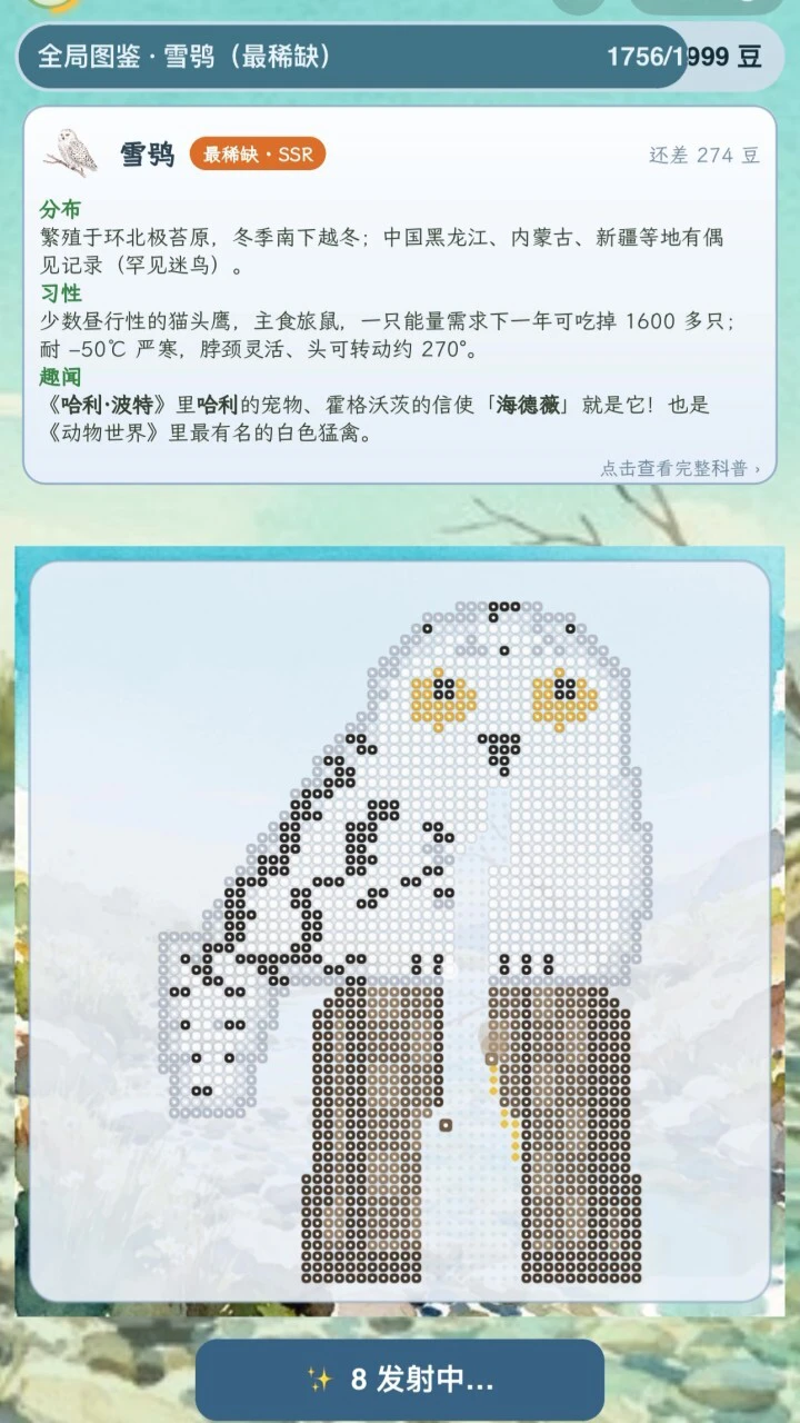观鸟-拼豆_3