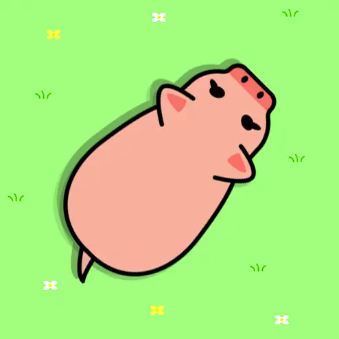 营救猪猪吧ICON