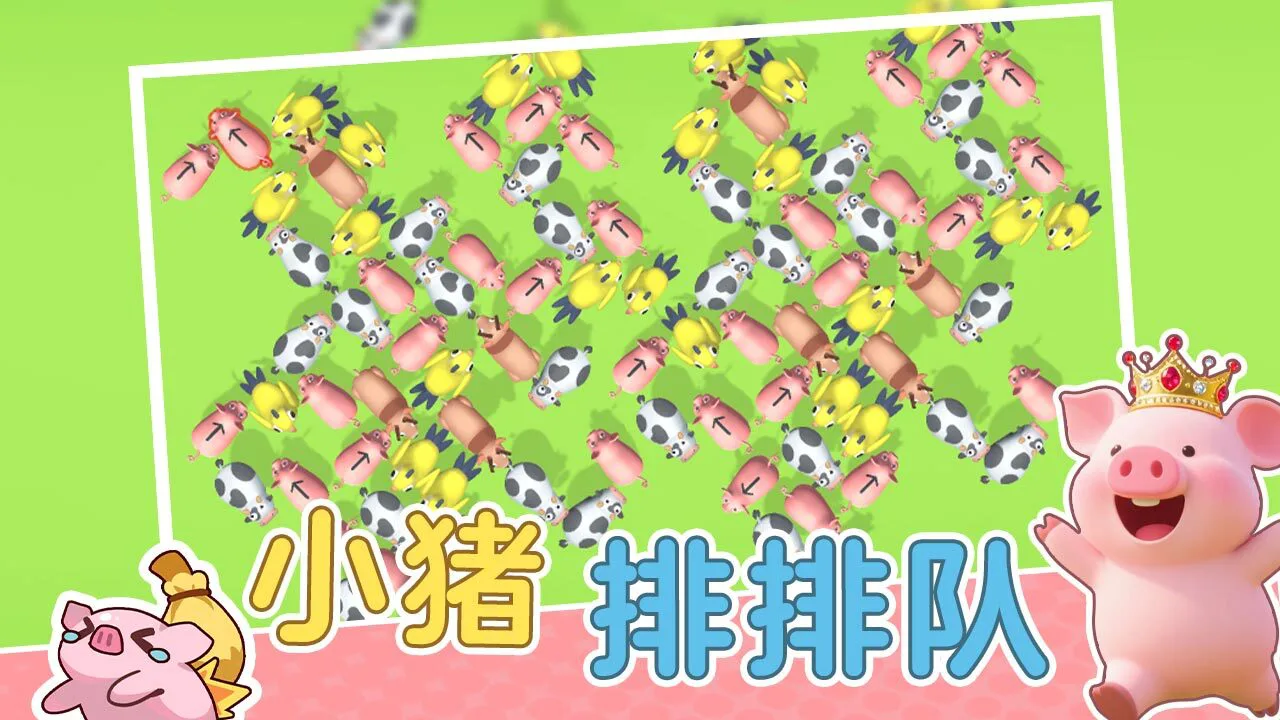 猪了个猪_6