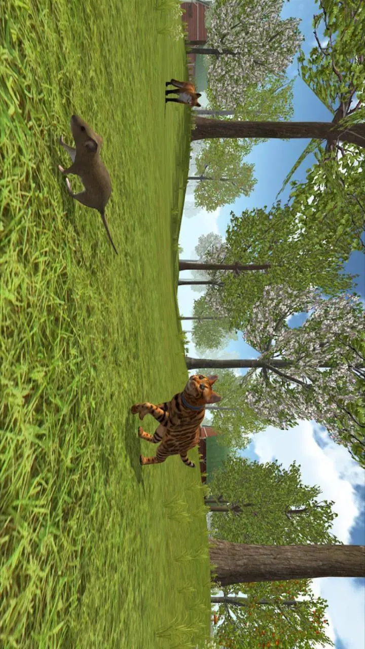 猫咪真实模拟_1