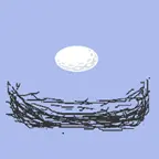 鸟蛋回家大冒险ICON
