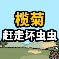 榄菊赶走坏虫虫ICON