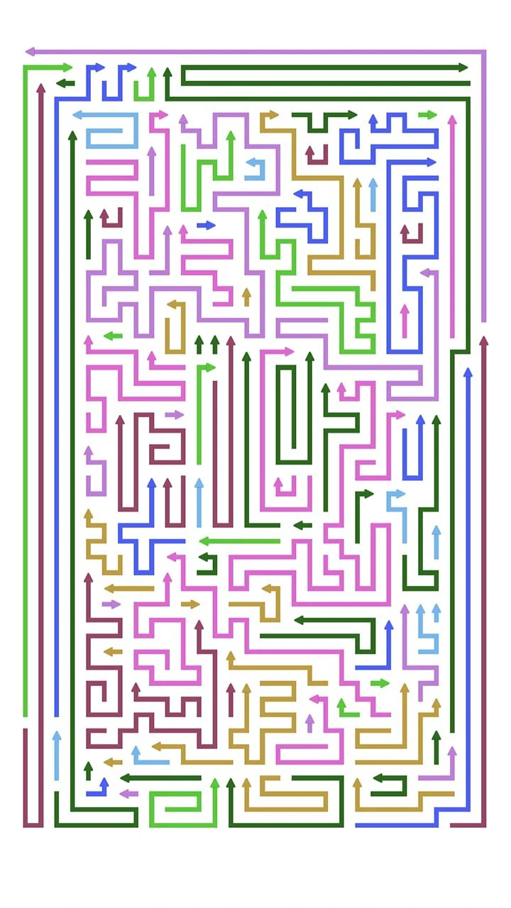 箭了个贱_2