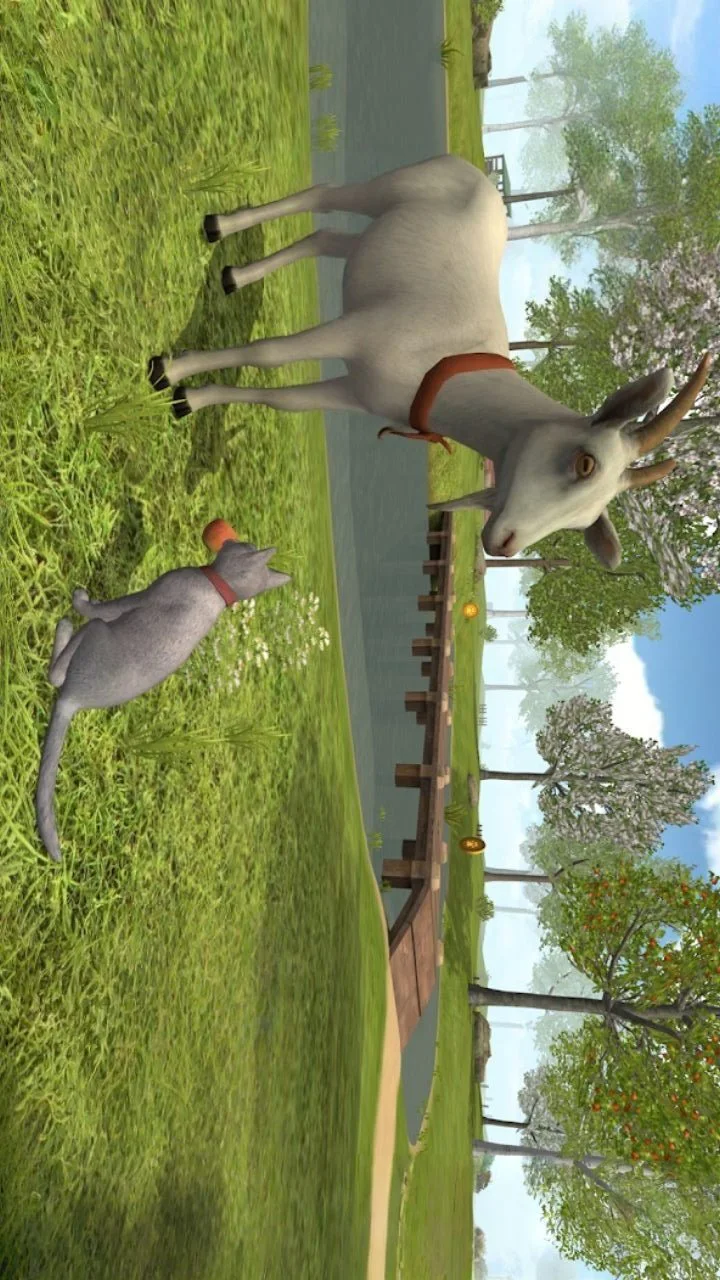 猫咪真实模拟_2