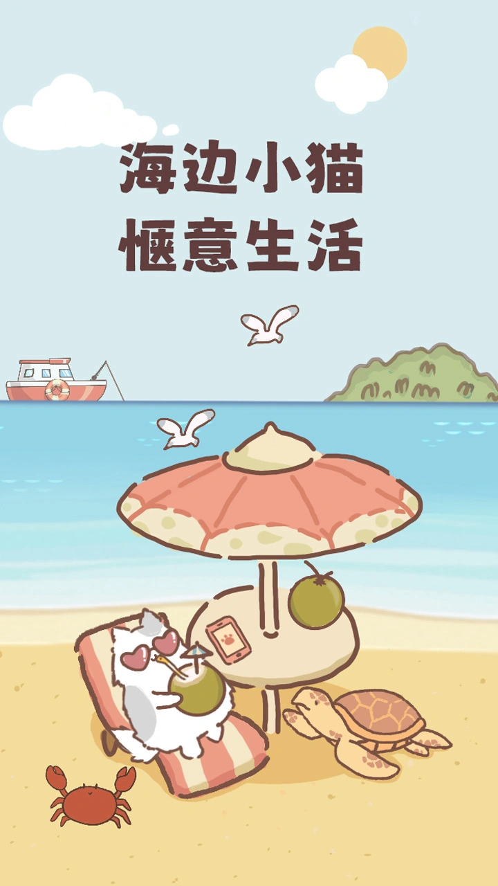 海边小猫_1
