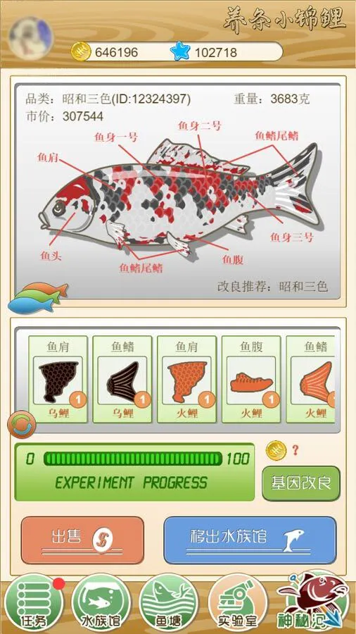 养条小锦鲤_2