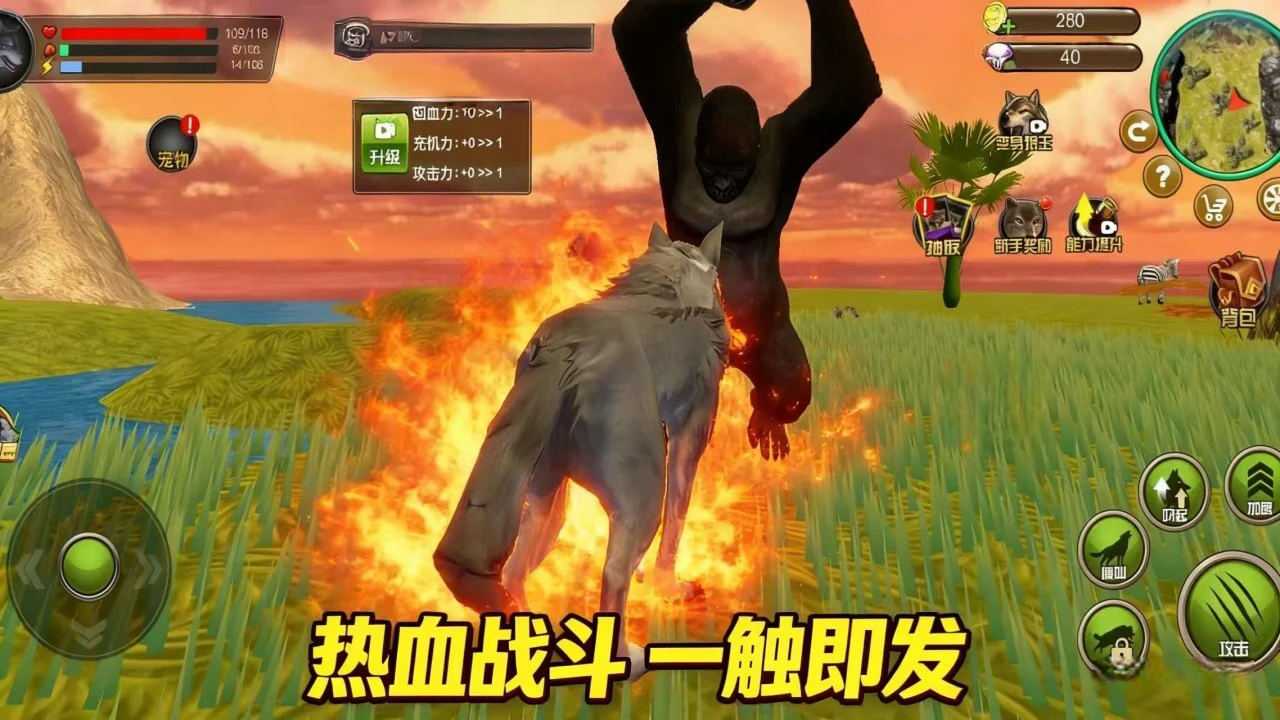 荒野狼王进化_6