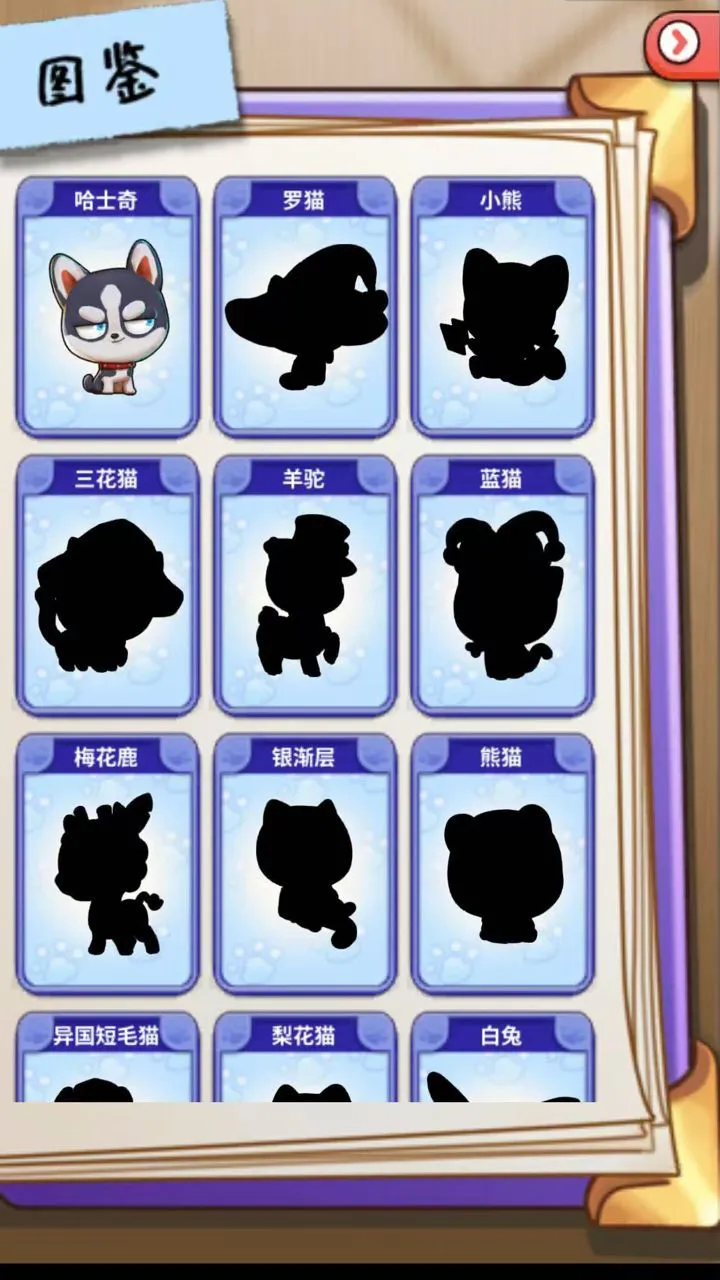 猫抓抓_2