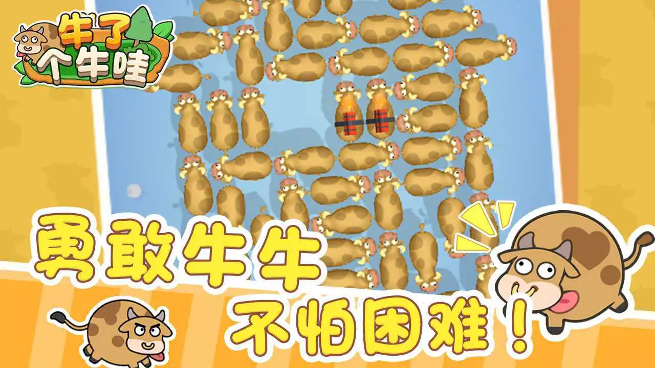 牛了个牛哇_5