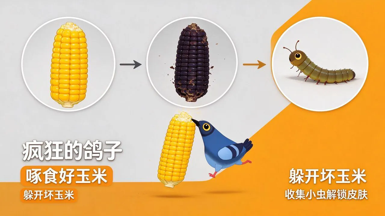 萌萌疯狂的鸽子_5