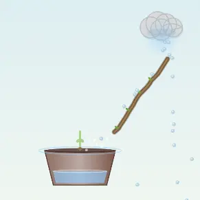 拯救植物ICON