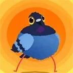 疯狂的鸽子魔性ICON
