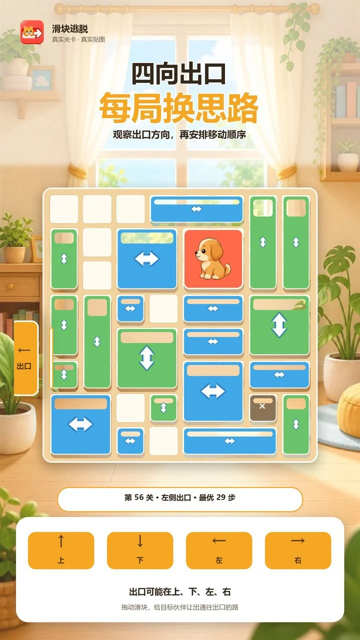 萌宠出逃记_2