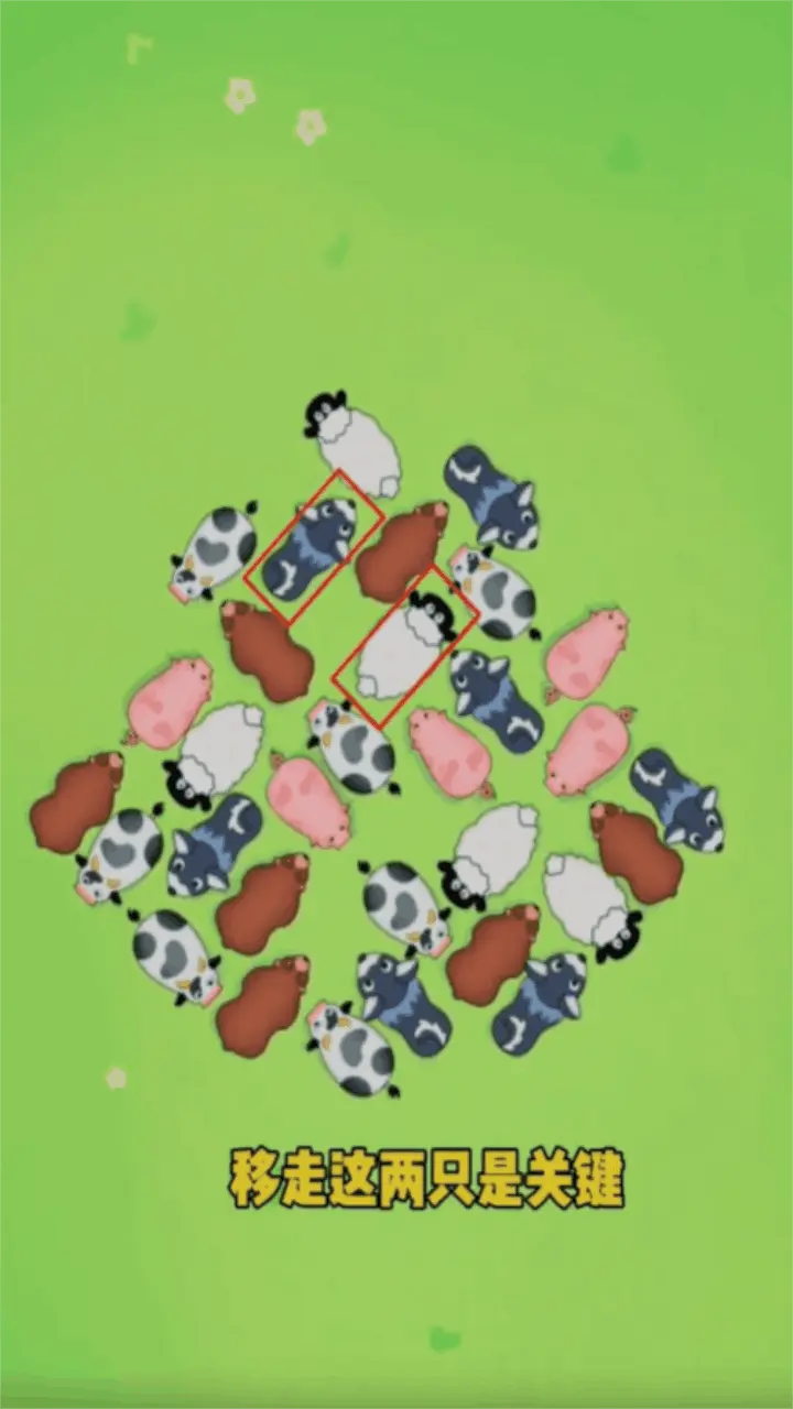 小鱼大挑战_1