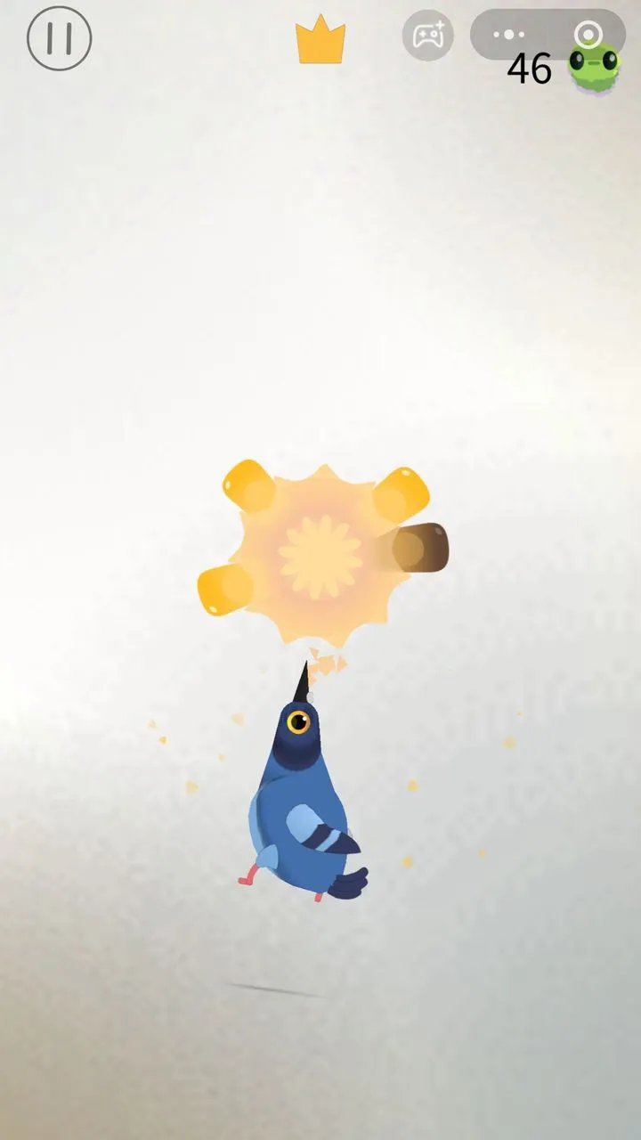 萌萌疯狂的鸽子_2