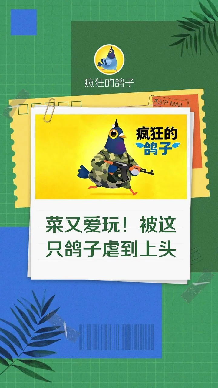 疯狂的鸽子手机版_1