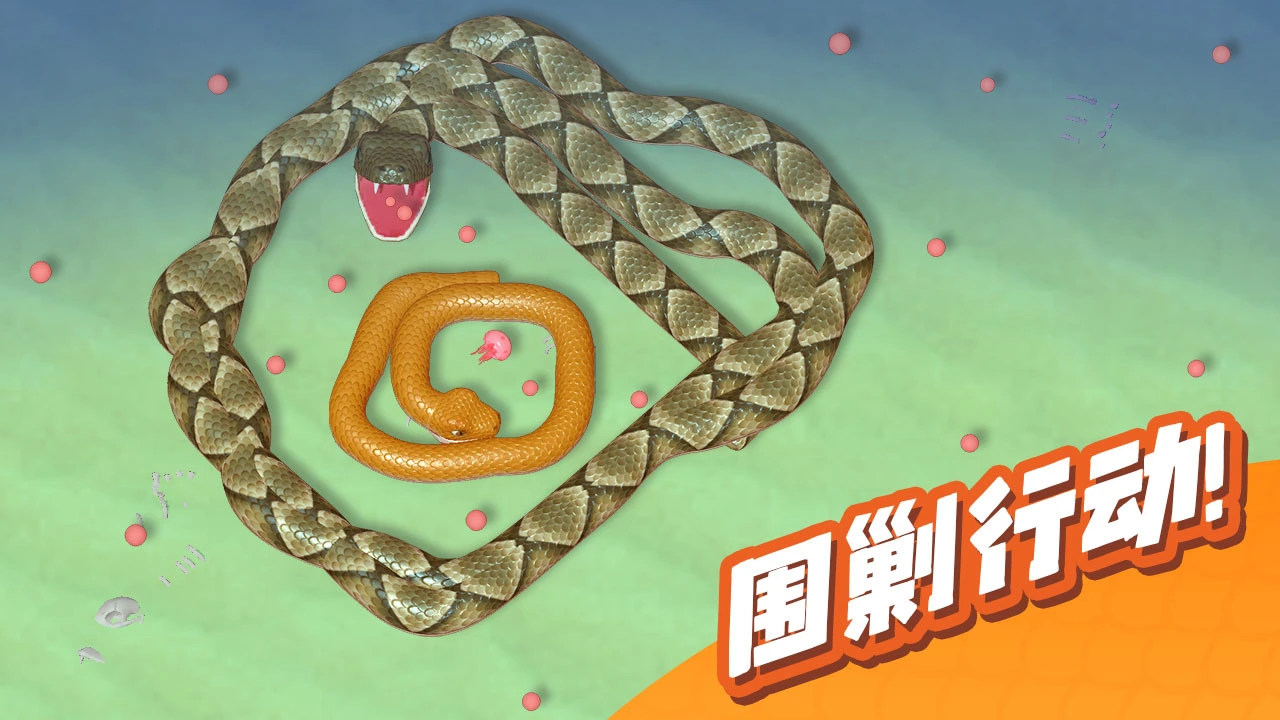 盘大蛇_6