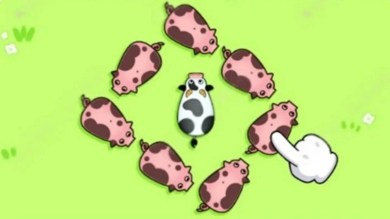 救救这群猪仔_6