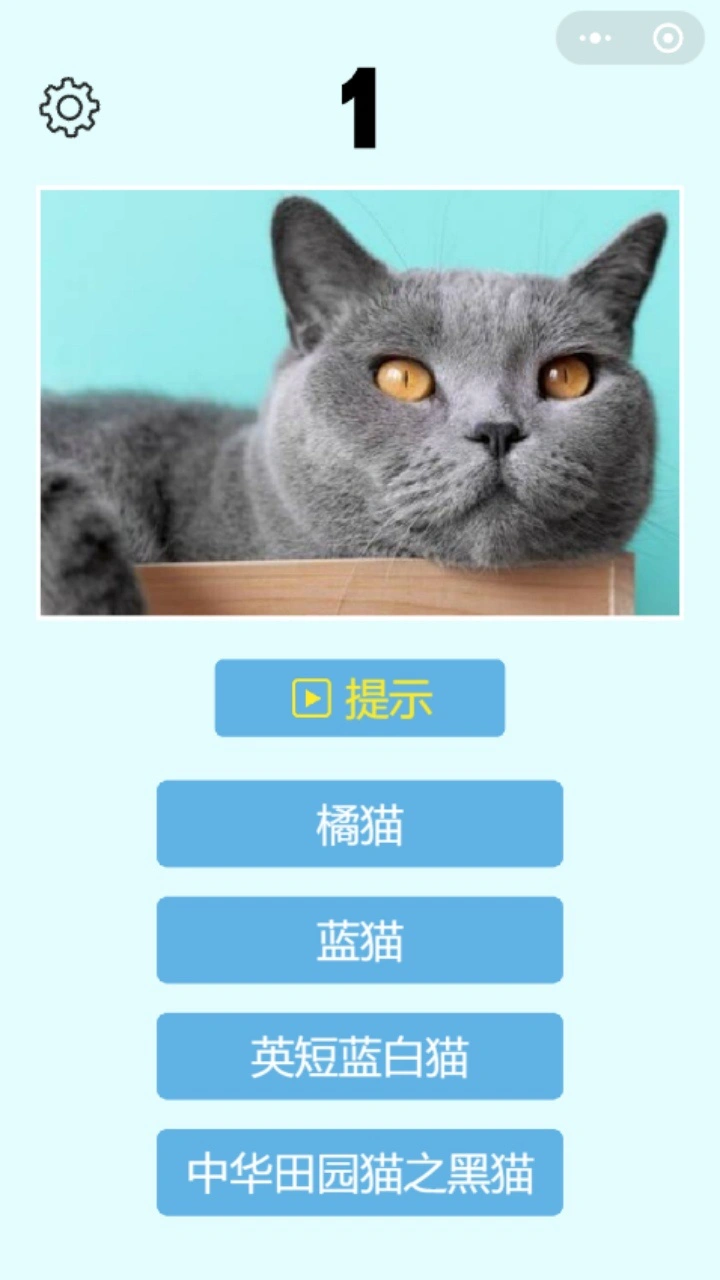 地理知识大挑战_2