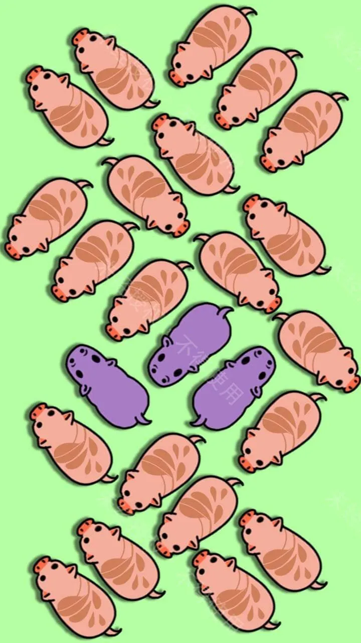 营救救动物_3
