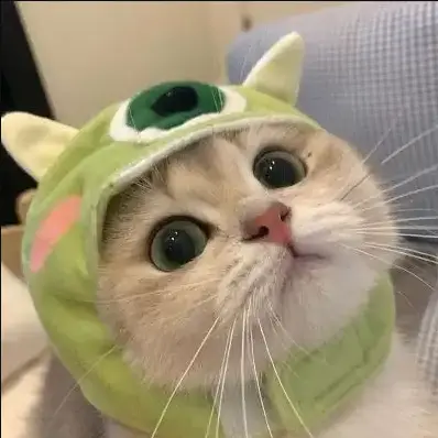 外婆的农家小院ICON