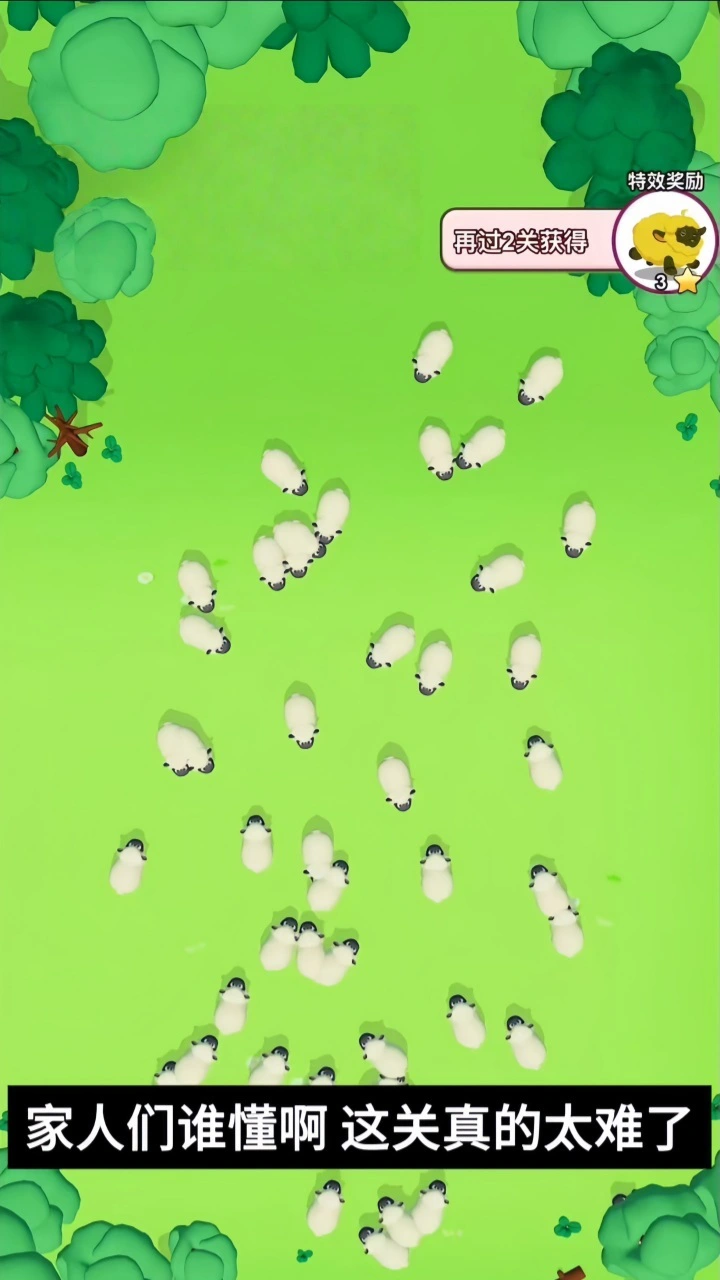 抓了只羊_3